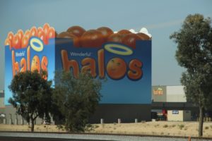 Citrus Groves, Bakersfield, CA